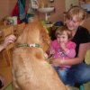 Dogoterapia