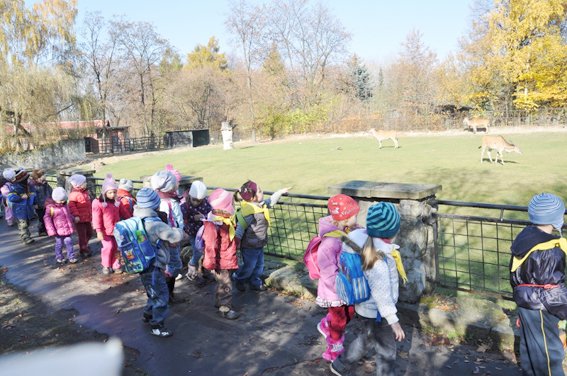 ZOO