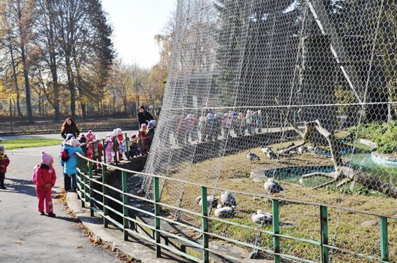 ZOO