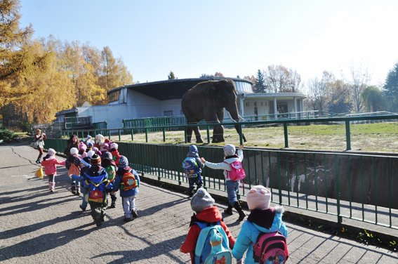 ZOO