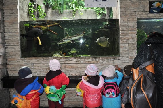 ZOO